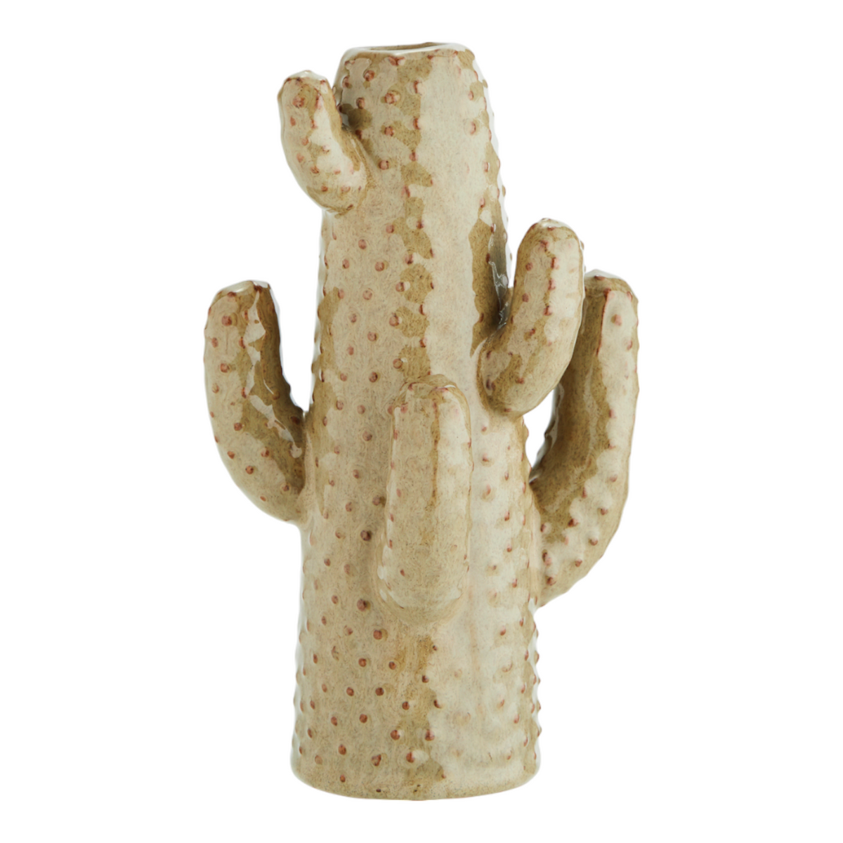 Cactus vase Ø 13x21 cm