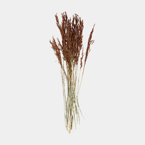 dried flowers