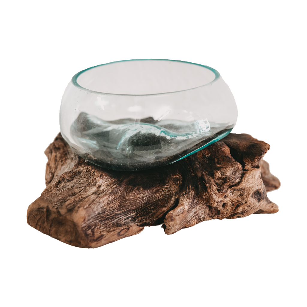 Teak root with glass vase Mini Big hook