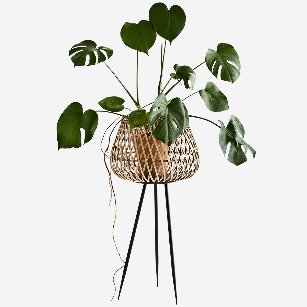 Flower stand bamboo