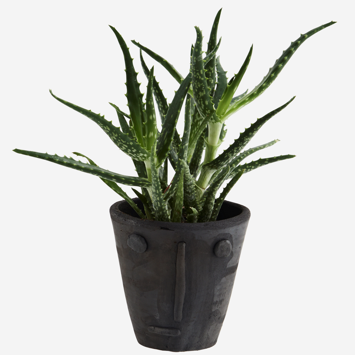 Clay flower pot handmade