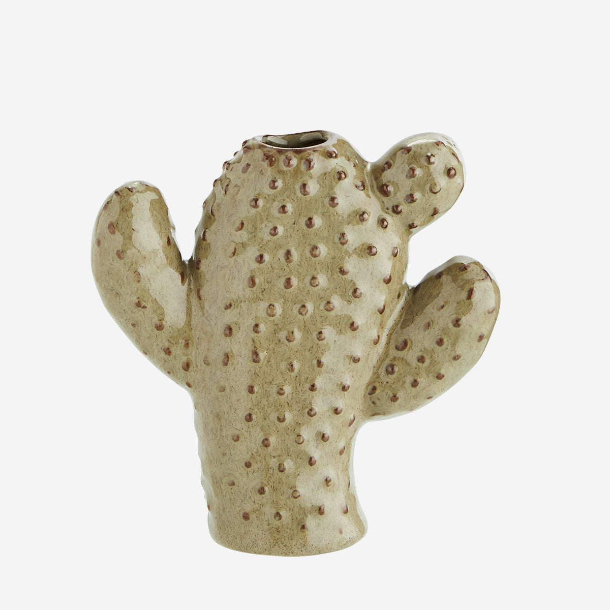 Vase cactus in two sizes